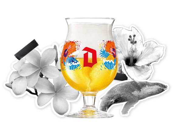 DUVEL USA Glazen Route666 Product Hawaii v5
